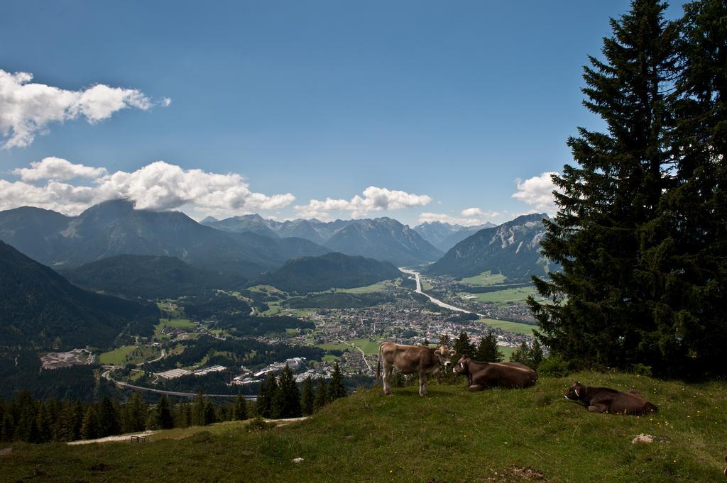 Haus Moosbrugger Hotell Reutte Eksteriør bilde